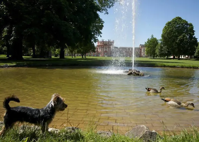 Am Schlosspark , Hotel 3*